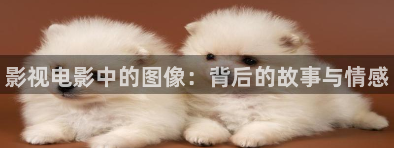我看秋霞电影网