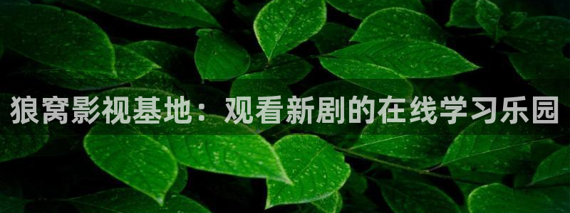 秋霞在线影院
