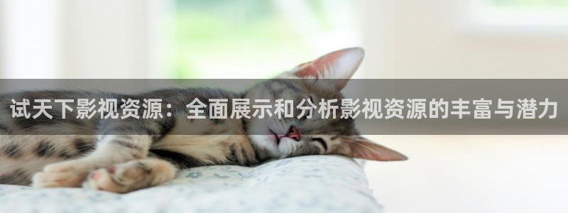 秋霞电影22339